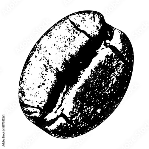 Vector Detailed black and white of a coffee bean with a central fissure.