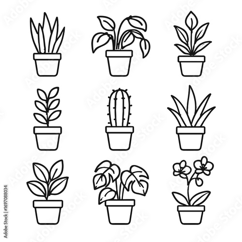 Icons pothos orchid peace philodendron aloe potted vector office rubber zz icon