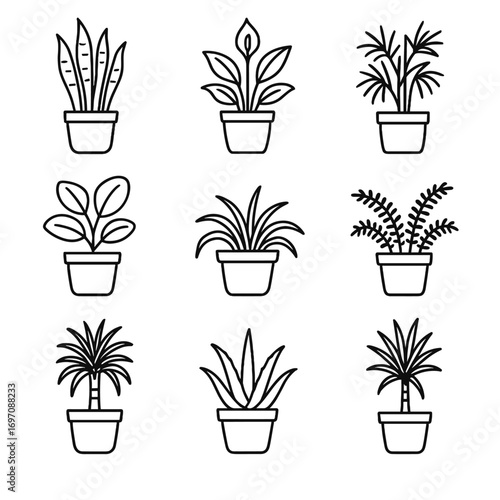 Aloe fern plant purifying potted peace rubber icon vera air palm dracaena