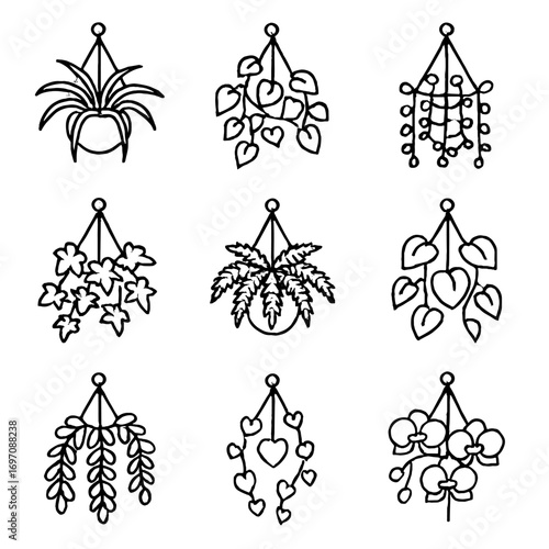 English orchid pothos plant vector ivy hanging string icon spider icons