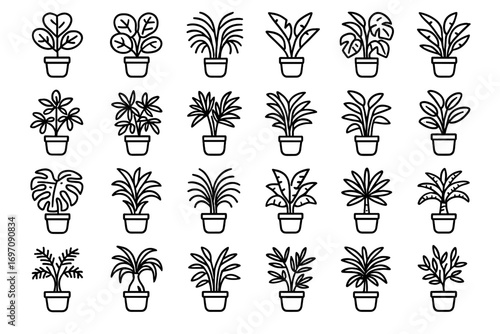 Tree palm paradise icons potted icon plant fern corn vector raphis indoor