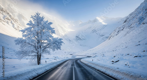 Snowy Mountain Road with Tree in Winter Scenery