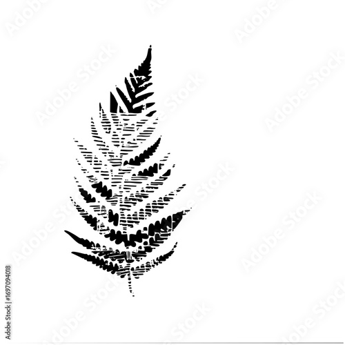 Vector Elegant fern frond in monochrome style.