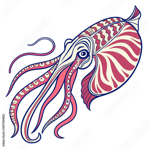 Stylized nautilus shell creature with tentacles