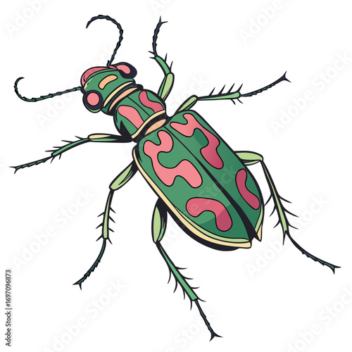 Green tiger beetle with pink pattern