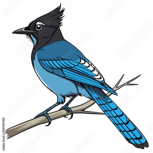 Blue jay bird perched on a branch