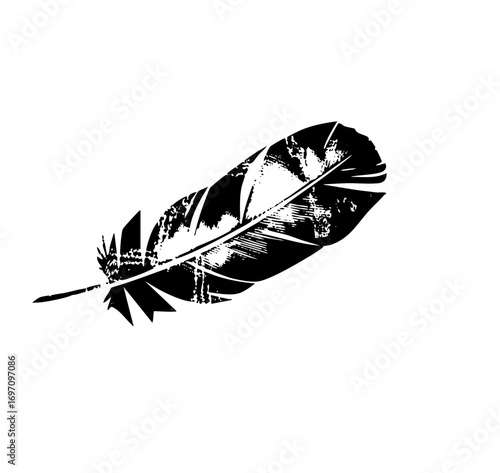 Vector Elegant black feather with detailed barbs.