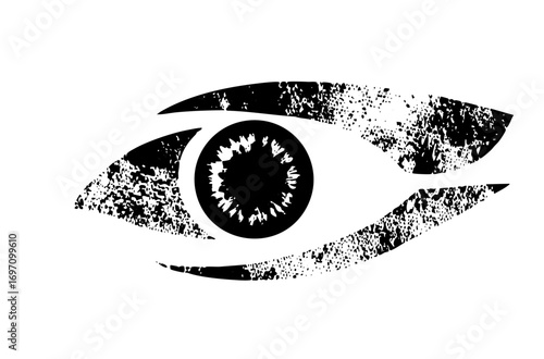 Vector Detailed black eye with textured iris.
