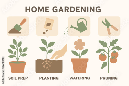 Home gardening illustrated steps for planting and growing plants