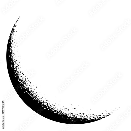 Vector Detailed moon with textured surface.