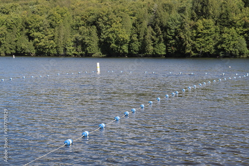Cuadro en lienzo Swimming and summertime