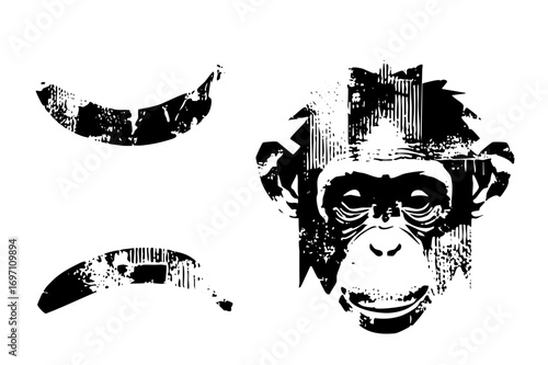 Vector Stylized primate face with distressed texture.