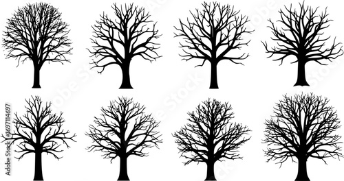 Silhouette of Dead Tree – Vector Illustration of Leafless Tree and Bare Branches on White Background