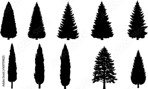 Silhouettes of Fir and Cypress Trees – Vector Collection of Various Tree Shapes Isolated on White Background