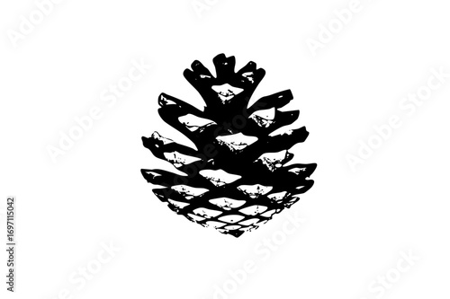 Vector Detailed black pinecone showcases natural botanical elements.