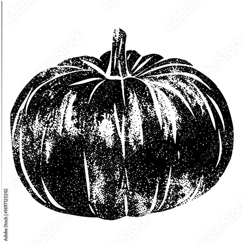 Vector Detailed black and white pumpkin with textured surface.