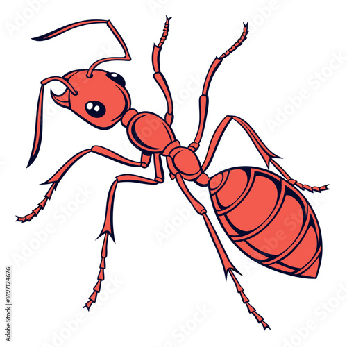 red-ant---colour-color-design-and-white-background