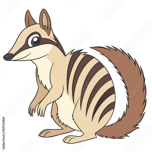 numbat---colour-design-on-white-background- (1)