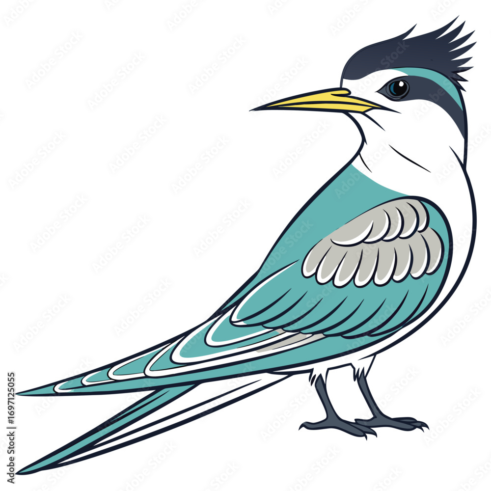 Obraz premium Elegant crested tern illustration in vector format