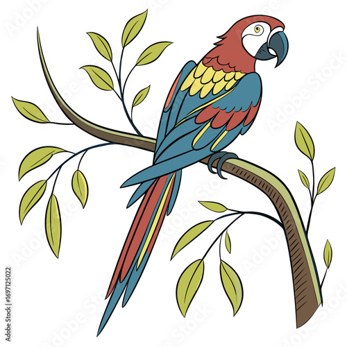 Cartoon macaw perched on a branch