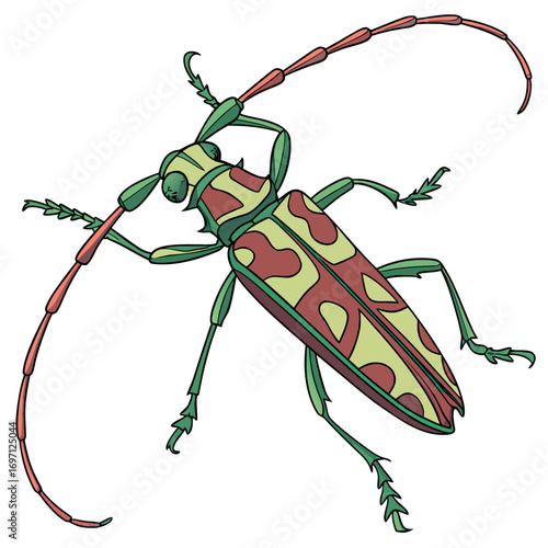 Green and brown longhorn beetle vector illustration