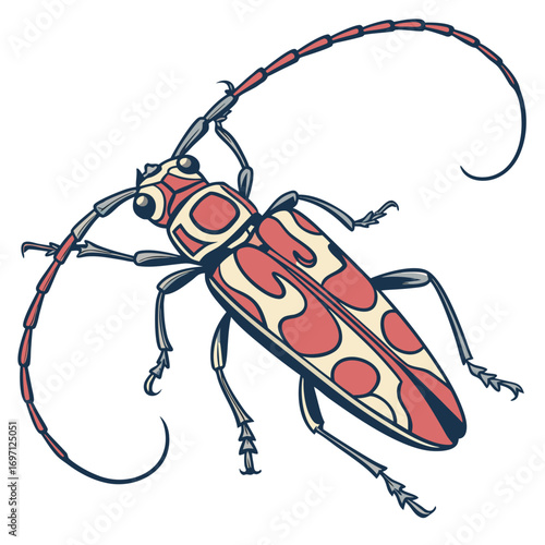 Vector illustration of a red and white longhorn beetle