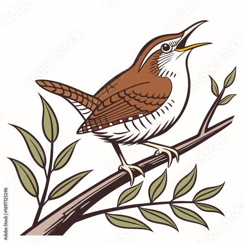 Illustration of a brown wren