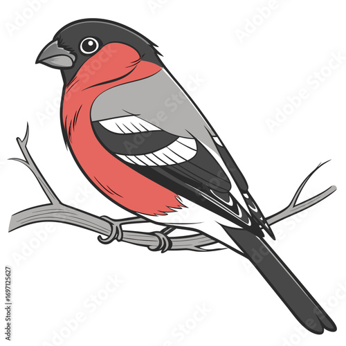 Bullfinch cartoon sitting on a branch