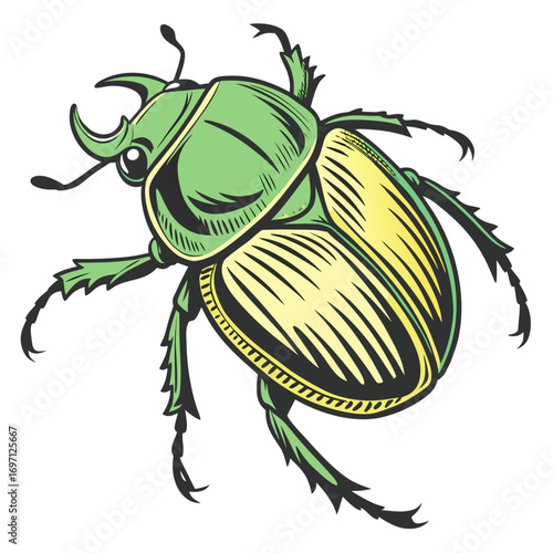 Green scarab beetle illustration in cartoon style