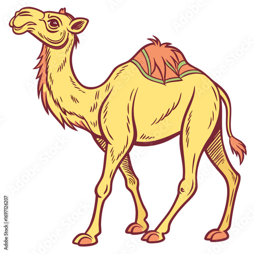 Cartoon illustration of a dromedary camel