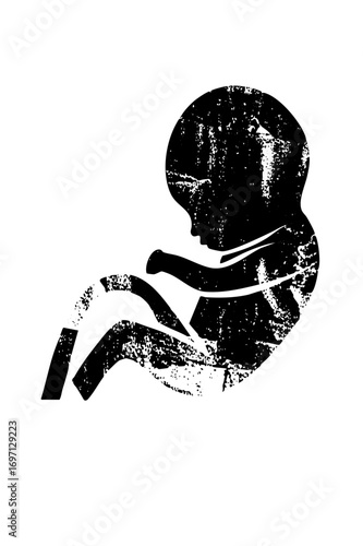 Vector Fetal development depicts a growing baby in the womb.