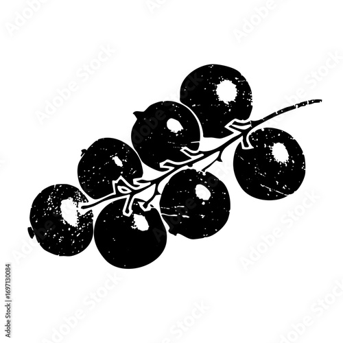 Vector Black silhouette of a blueberry branch with ripe berries.