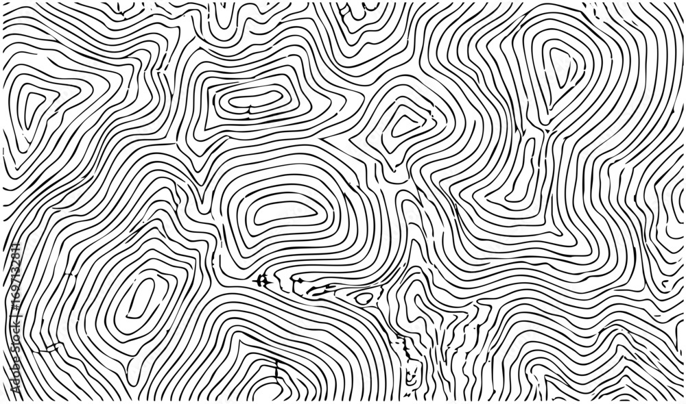 Fototapeta premium Vector Abstract flowing lines create a topographic map .