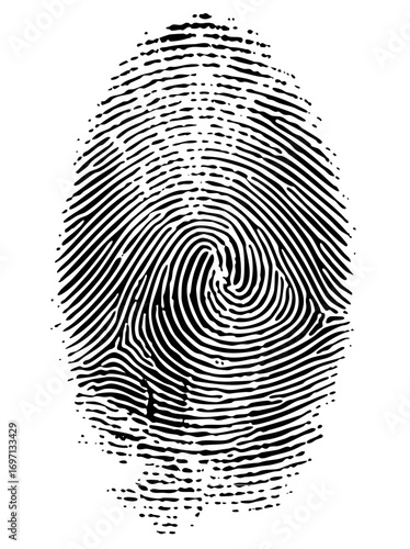 Vector Detailed fingerprint with swirling ridges