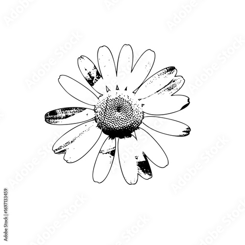 Vector Charming daisy flower with a playful face.