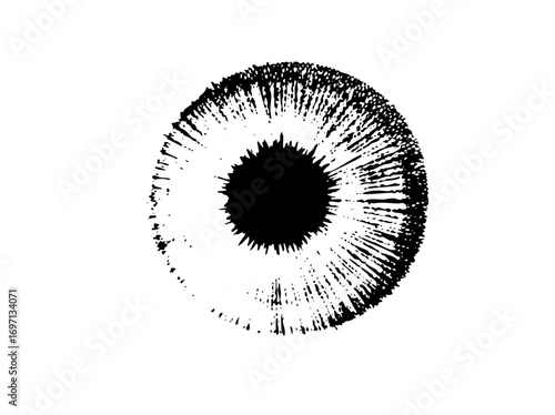 Vector Detailed black eye with radial iris .