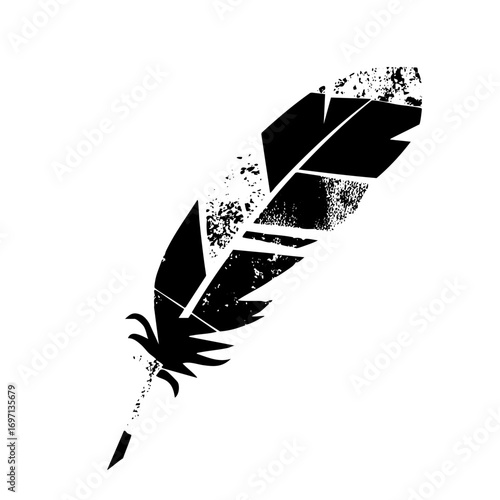 Vector Abstract feather with fragmented .