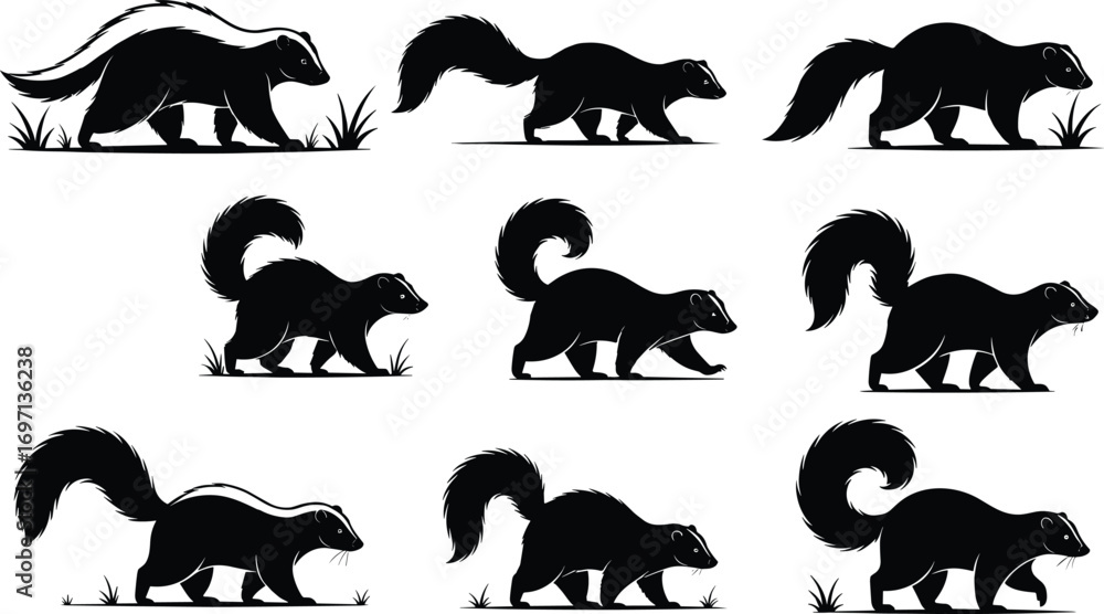 Fototapeta premium Skunk silhouette collection, wildlife animal vector, black and white skunk illustration, nature mammal art, tail raised, grass scene, pest control concept