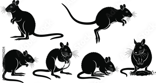 Rat silhouette illustration, black rodent vector, pest control graphic, wildlife animal pose, jumping rat art, standing rat design, crouching rat clipart