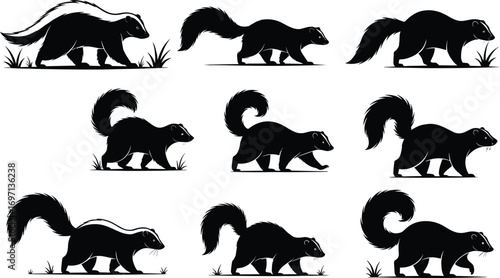 Skunk silhouette collection, wildlife animal vector, black and white skunk illustration, nature mammal art, tail raised, grass scene, pest control concept