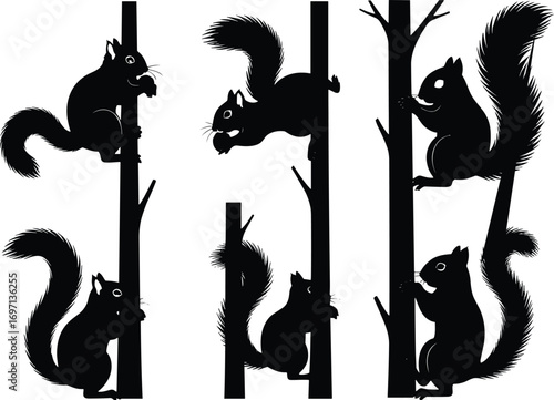 Silhouette squirrels climbing tree trunks, wildlife nature illustration, animal behavior art, forest woodland scene, bushy tail mammals, outdoor climbing posture study