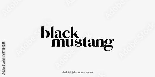 Strong type bold regular serif good posture. Perfect for modern headlines, lifestyle branding, magazine covers, posters, tech or wellness designs seeking impactful clarity.