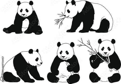 Cute cartoon panda illustrations, sitting pandas eating bamboo, adorable wildlife animal clipart, black and white bear art, playful panda characters collection
