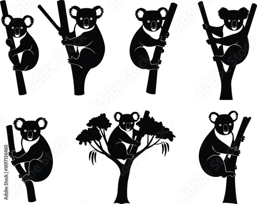 Koala, wildlife, illustration, black, white, tree, branch, animal, marsupial, nature, drawing, sketch, Australian, fauna, climbing, art, cute, forest, conservation, habitat