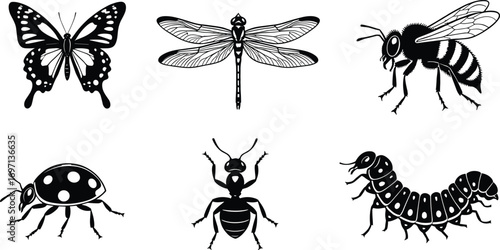 Black and white insect illustrations, butterfly, dragonfly, bee, ladybug, ant, caterpillar, detailed entomology drawings, educational wildlife art, nature study