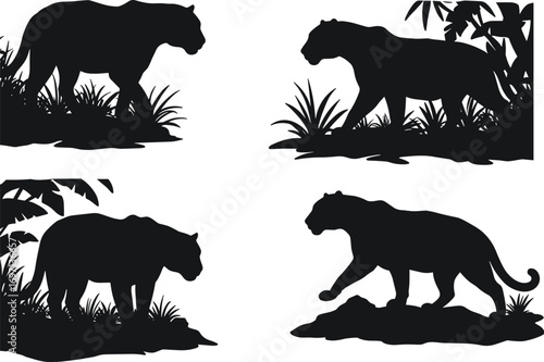Silhouette of wild panther and jaguar in jungle nature scene with grass, leaves, branches, wildlife art, exotic animal illustration