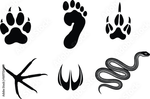 Animal footprints silhouettes, human foot print, bird track, hoof mark, snake figure, wildlife tracking icons, nature trail identification symbols