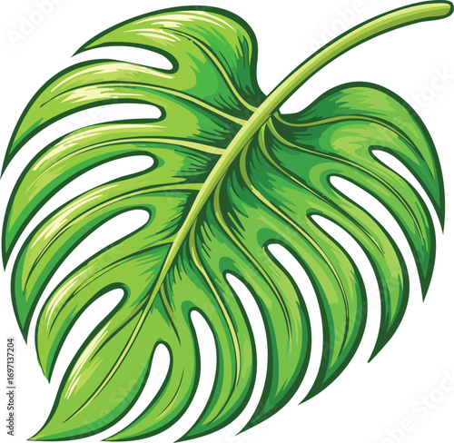 A detailed, vibrant green monstera leaf. An isolated vector illustration of a popular tropical plant for design, decor, and nature concepts. Generative AI