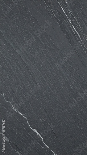 Dark gray stone with flowing white veins