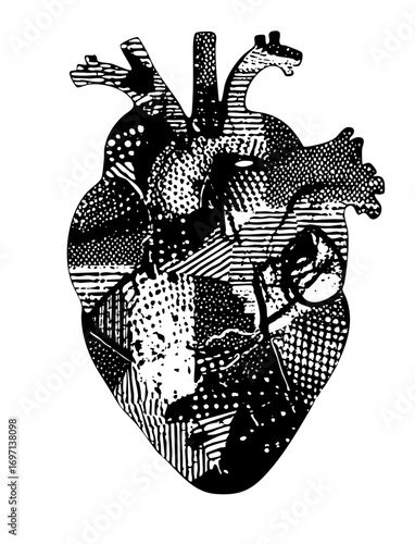 Vector Detailed anatomical heart with textured .